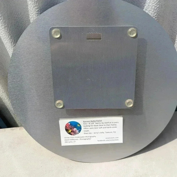 Raccoon Butterflyfish Metal Circular Picture - Picture 5 of 5